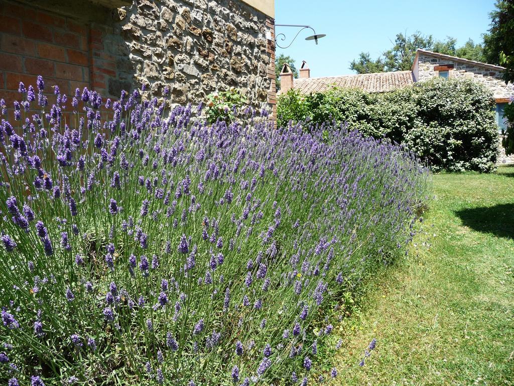 Podere Sant'Angelo Roccalbegna Esterno foto